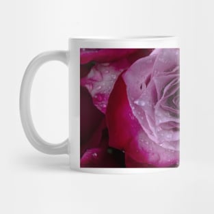 Dew Drops On Purple Red Rose Mug